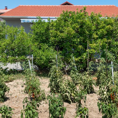 Nyaralóház A Tenger Mellett Kastel Stafilic, Kastela - 22438 Kaštel Štafilić  3