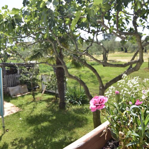 Apartmanok Parkolóhellyel Sveti Ivan, Umag - 22472 Sveti Ivan  3