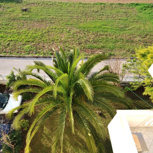 Apartmanok és Szobák Parkolóhellyel Trogir - 22531  4
