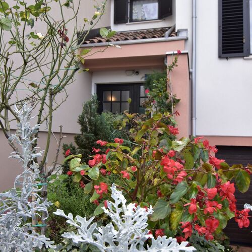 Apartmanok Parkolóhellyel Umag - 22659  4