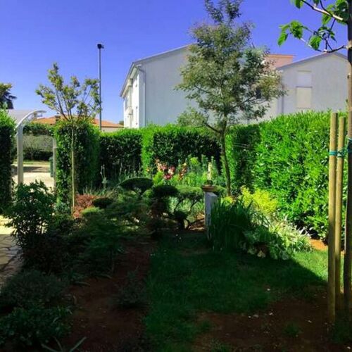 Apartmanok Parkolóhellyel Zambratija, Umag - 22711 Zambratija  4