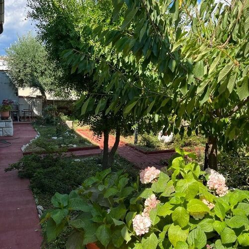 Apartmanok Parkolóhellyel Stinjan, Pula - 22993 Štinjan  3