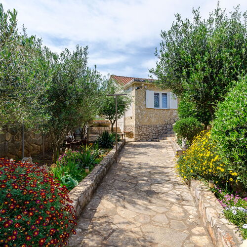 House Kelava Basina  2