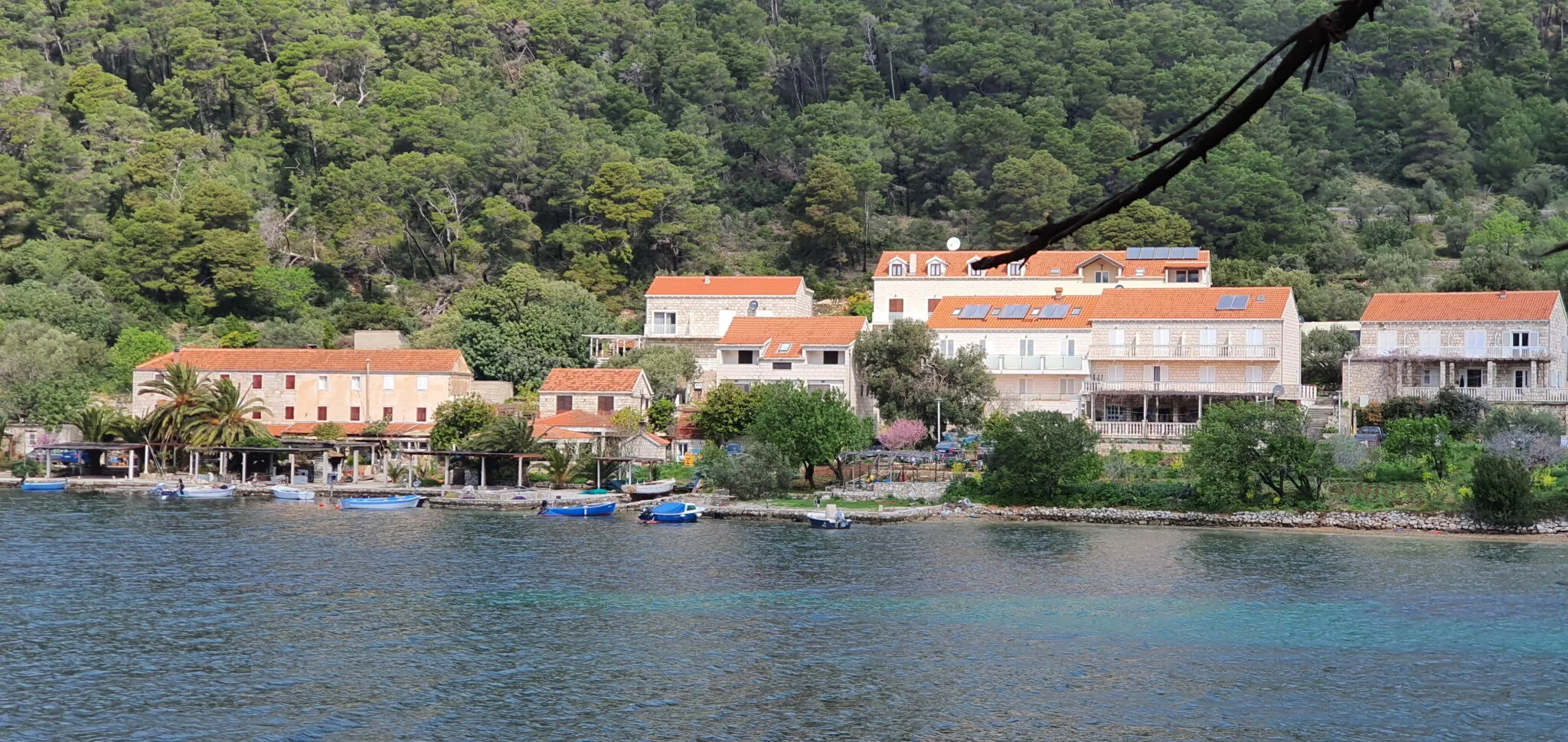 Apartmani Pjevalo Mljet