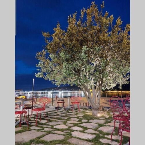 Apartment Oleandar Trogir  4