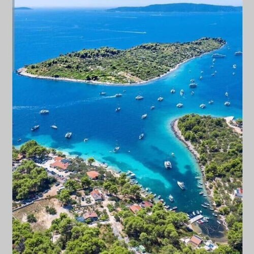 Apartment Oleandar Trogir  3
