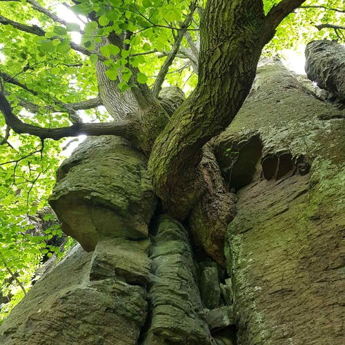 GOfoREST - 150y Old Vintage Cottage Balaton ★★★★ 4