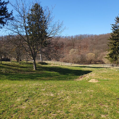 GOfoREST - 150y Old Vintage Cottage Balaton ★★★★ 3