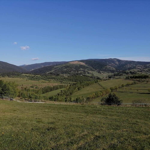 Vedere spre Lacul Rosu