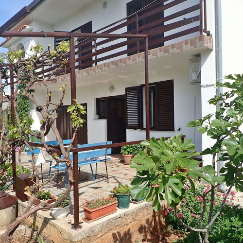 Apartments KATICA Seline  4
