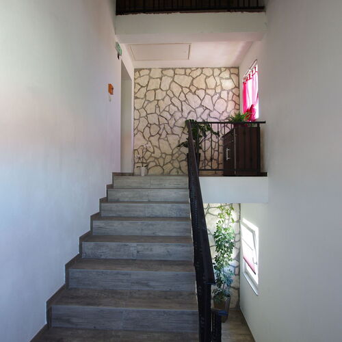 Apartments Branko Selce  4
