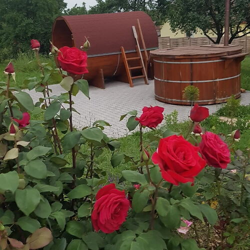 Dézsafürdő és jakuzzi