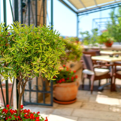 Heritage Hotel Tisno ★★★★ 3