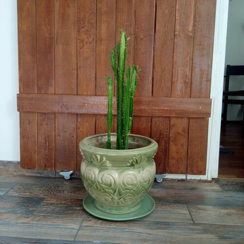 Hangulatos Kis Lakás Apartman Szeged