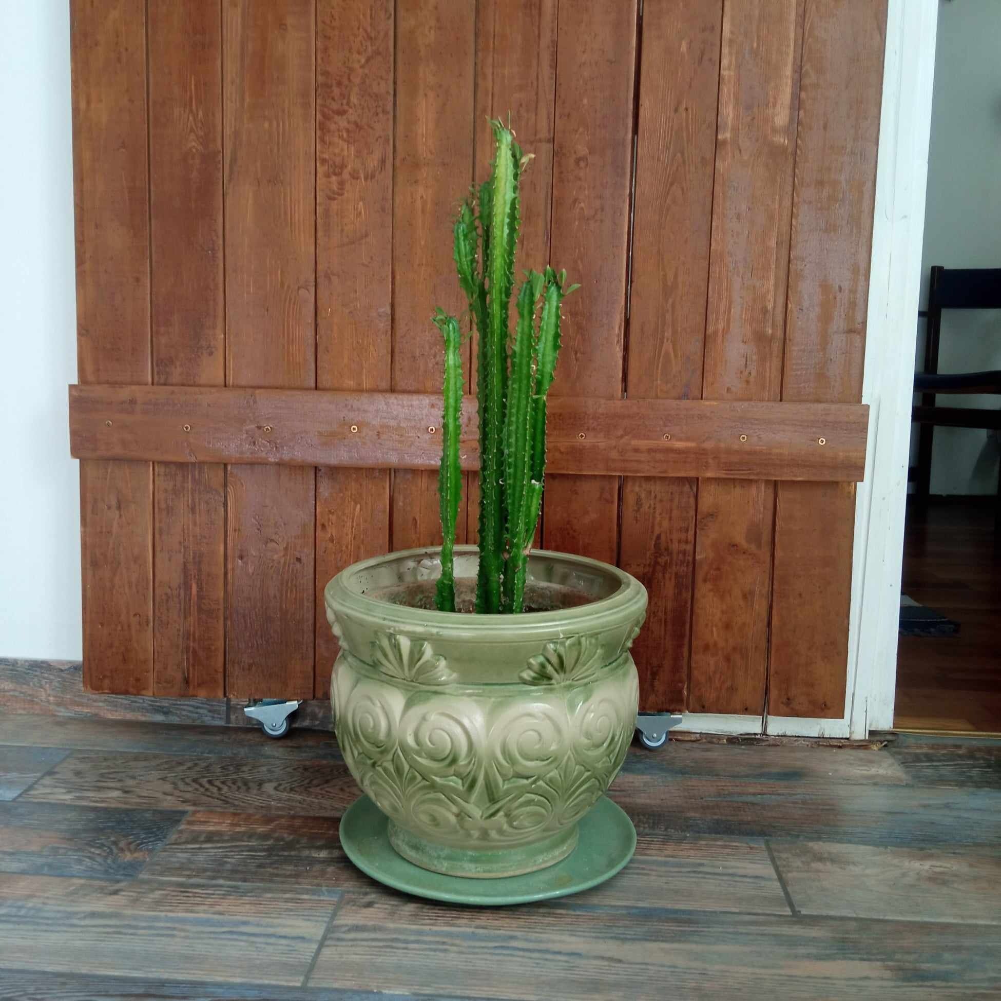 Hangulatos Kis Lakás Apartman Szeged