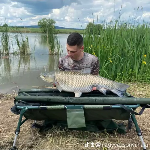 Vízivilág Vendégház és Halastó Nagyvázsony 015 kép