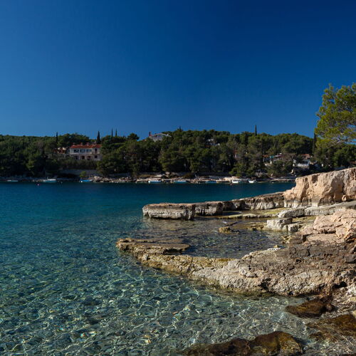 House Olive Eden Milna  3