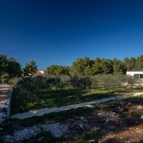 House Olive Eden Milna  2