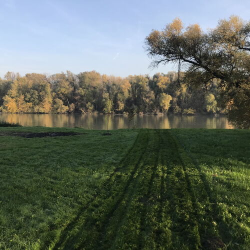 Lupa-sziget