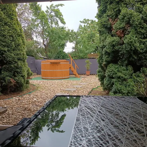 Kil&aacute;t&aacute;s a d&eacute;zsaf&uuml;rdőre, &eacute;s a kertre .