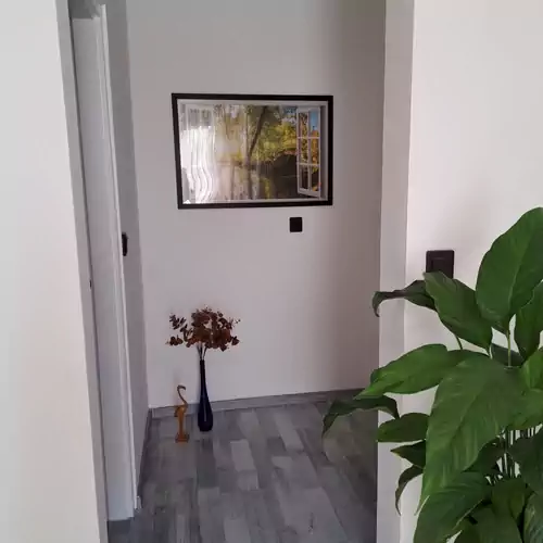 Kis Oázis Apartman Balatonszeme 025 kép