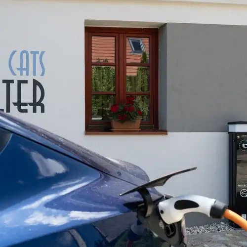 4CatsShelter Apartman Cák 004 kép