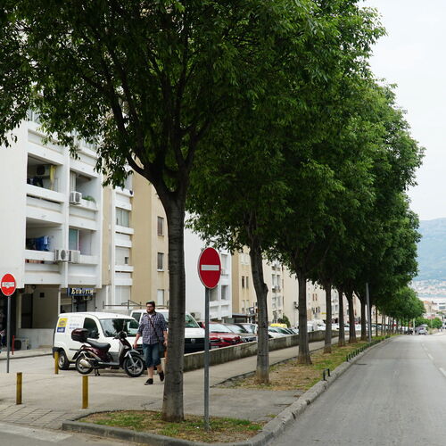 Apartment Tinel Split  3