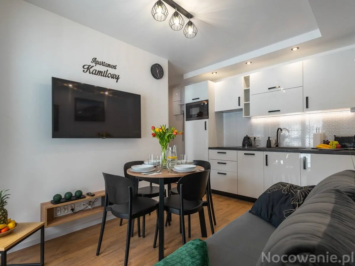 salon z aneksem kuchennym