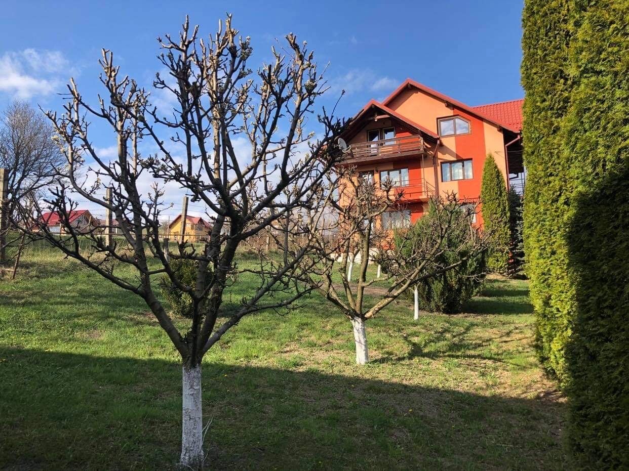 Casa Cristina Gura Humorului 