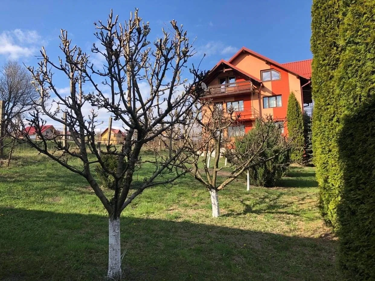 Casa Cristina Gura Humorului 
