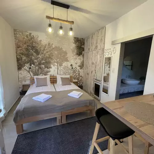 Vitality Apartman Makó 016 kép