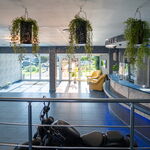 Centru Wellness, relaxare