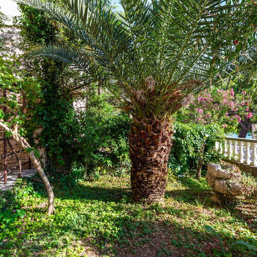 Apartman Rovanjska - CDI833  4