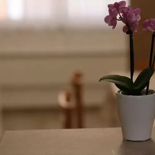 Levendula Vendégház Bezi 022 kép