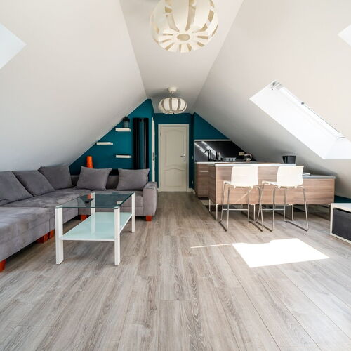 Apartament duży 
Salon z aneksem kuchennym