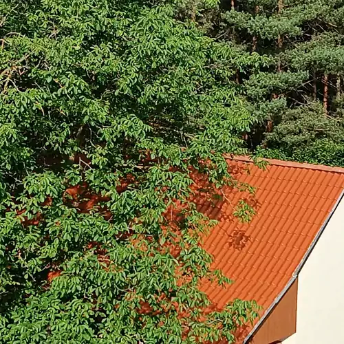 Eco-Wood Home Ostoro 003 kép
