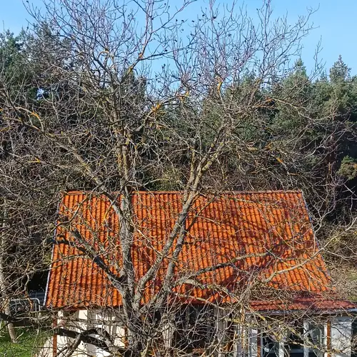Eco-Wood Home Ostoro 018 kép