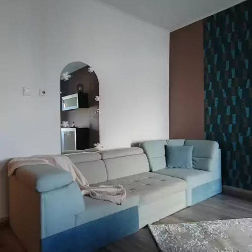 Tulipán Apartman Abádszalók 018 kép