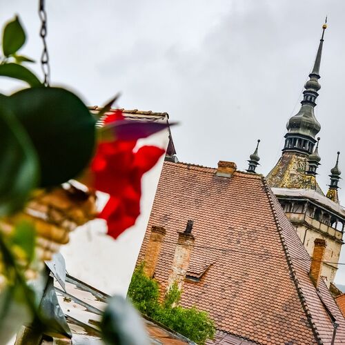 An Der Holztreppe Sighișoara 