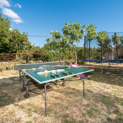 Apartman Radašinovci - CDI853  4