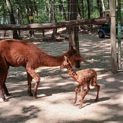 Orgona Vendégház Magyarnándor 018 kép