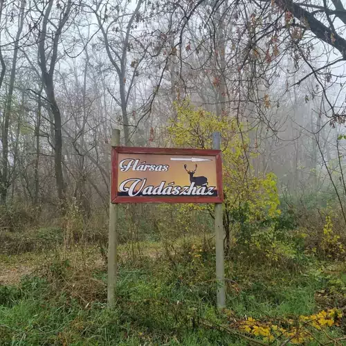 Hársas Vadászház Somogytúr 026 kép