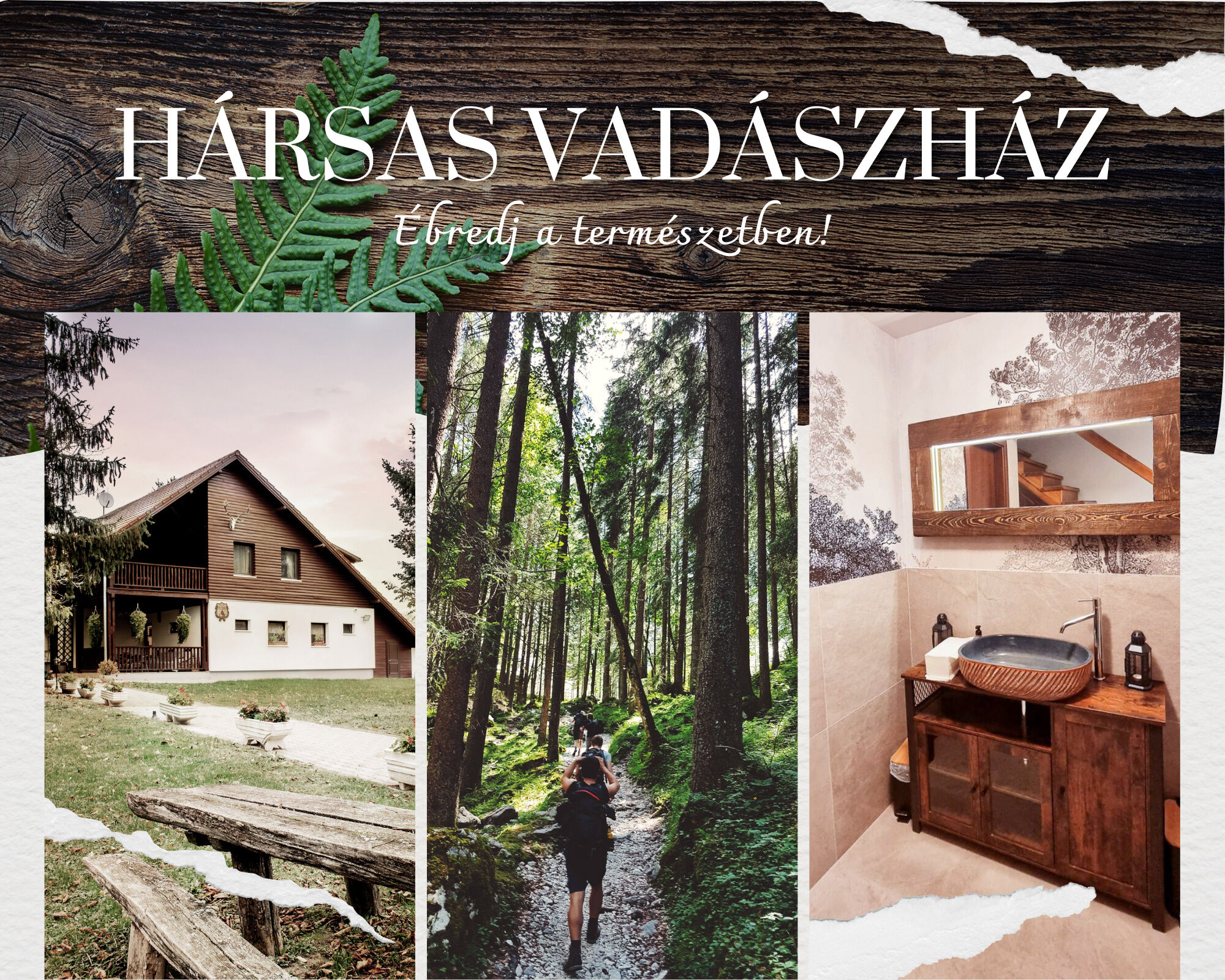 Hársas Vadászház Somogytúr