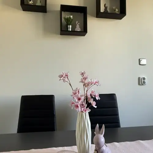 Széchenyi Apartman Esztergom 025 kép