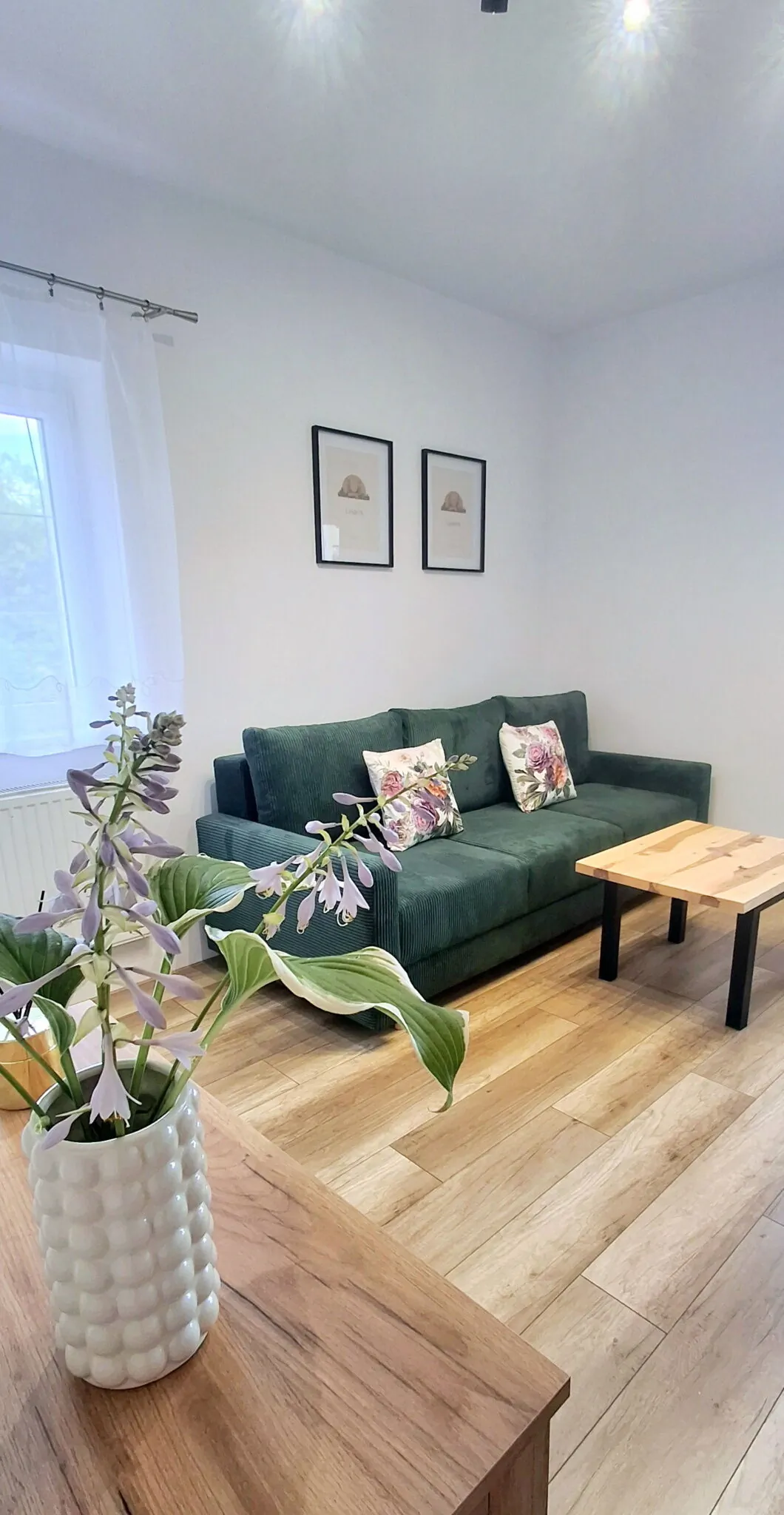 Apartament Dzika Róża Kowary