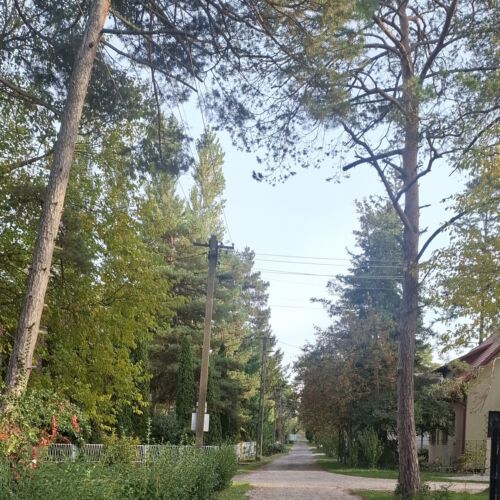Két Fenyő Nyaralóház Balatonfenyves ★★★ 3