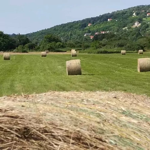 SárkányFészek Szálláshely Cserszegtomaj 008 kép