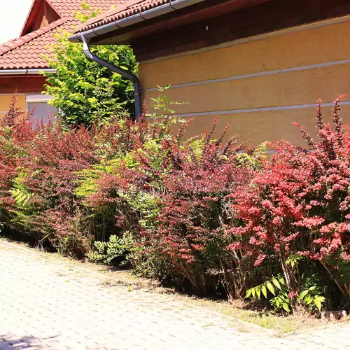 Nyugdíjas Lakópark szállások Hódmezővásárhely 010 kép