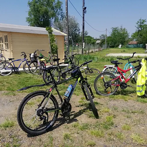 Ker&eacute;kp&aacute;rosok fogad&aacute;sa