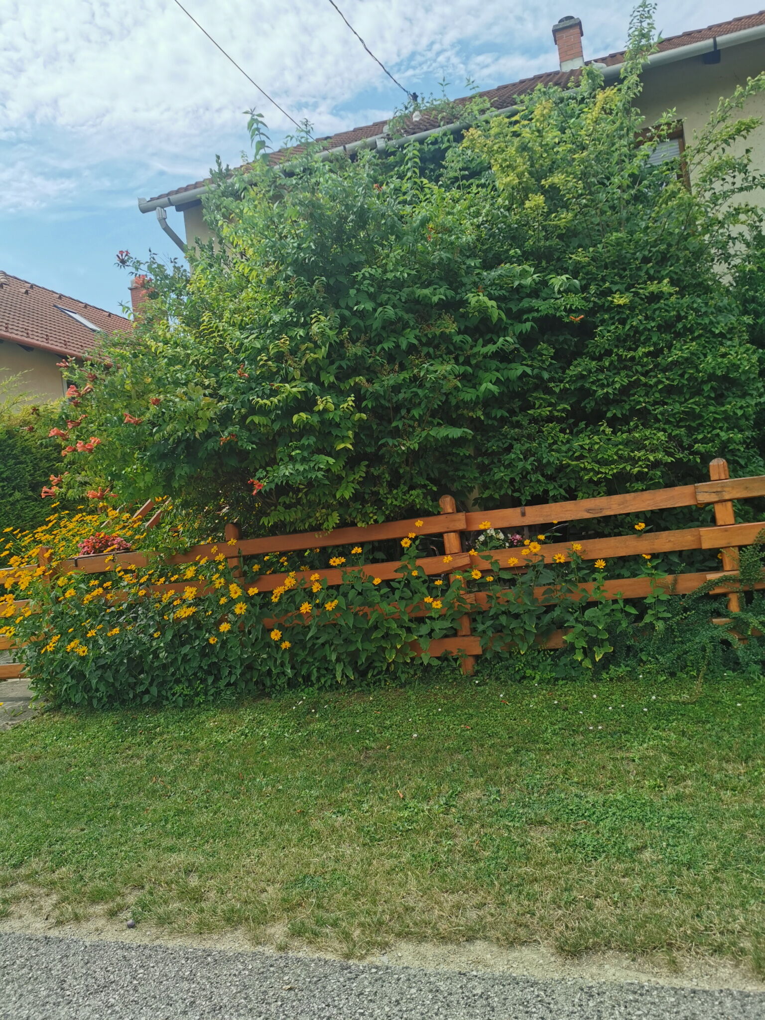 Balatoni Fészek Apartman Balatonalmádi